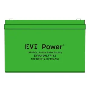 evi power lifepo4 lithium battery 100ah